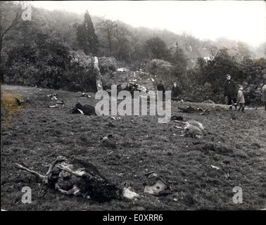 05 novembre 1967 - Trente-sept personnes tuées en Caravelle crash avion de ligne dans le Sussex. Trente-sept personnes ont été tuées lorsqu'une Caravelle ibérique avion de ligne s'est écrasé dans les champs à proximité de Fenhurst, proche de la frontière - Surrey Sussex tard hier soir. La photo montre certains des moutons morts qui ont été tués lorsque l'avion brisé par un pâturage troupeau près de la colline de Blackdown solitaire. Banque D'Images