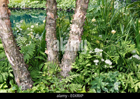 Le Cratère de mine et de l'étang de l'ensemencement dans l'épreuve qui jardin 'No Man's Land : ABF les soldats' Charity Jardin pour marquer le centenaire de la Première Guerre mondiale', à RHS Chelsea Flower Show 2014, conçu par Charlotte Rowe Banque D'Images