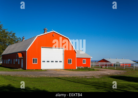 Une grange de ferme sur l'île de Ile d'Orléans, Québec, Canada. Banque D'Images