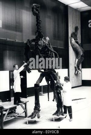 25 avril 1968 - Le Musée d'Histoire Naturelle Senckenberg de Francfort dispose d'un montrant de l'histoire de la nature, allant de la première histoire de la planète, à travers le règne des dinosaures, à l'heure actuelle. Le musée a été 60 % détruit pendant la guerre. Ces deux déclarations montrent le squelette d'un ''Iguandon'' à partir de la période du Crétacé de la Belgique. Il n'y a que 20 comme elle dans le monde entier. Banque D'Images