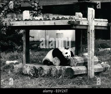 Septembre 09, 1968 - réticents An-An : photo montre la Fédération de panda géant, An-An - qui a été effectué pour le Zoo de Londres il y a 12 jours dans l'espoir de s'accoupler avec les femelles du Zoo de Londres, Chichi - est représenté aujourd'hui. Banque D'Images