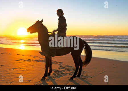 L'équitation sur la plage au coucher du soleil Banque D'Images