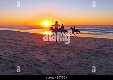 L'équitation sur la plage au coucher du soleil Banque D'Images