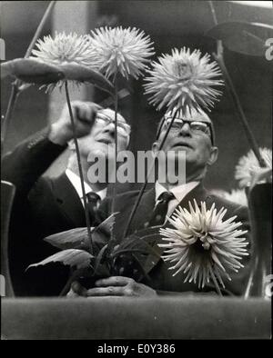 17 septembre 1968 - NATIONAL DAHLIA SOCIETY'S SHOW. PHOTO MONTRE :- Les juges vu l'inspection dahlia fleurs, à l'échelle nationale La Société Dahlia's show qui se tient aujourd'hui et demain à la Royal Horticultural Halls, Westminster. Banque D'Images