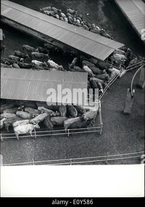 08 août 1968 - Nouveau ferme laitière mécanisé : Mécanisation est utilisé pour de plus en plus en bulgare l'élevage. grandes fermes laitières mécanisées sont en construction dans l'état et de coopératives agricoles au cours des dernières années. 52 % des vaches sont traites maintenant en Bulgarie avec des machines. La photo montre la vue de la nouvelle ferme laitière mécanisée de l'État ferme dans le village de Ravno Pole, district de Sofia. Banque D'Images