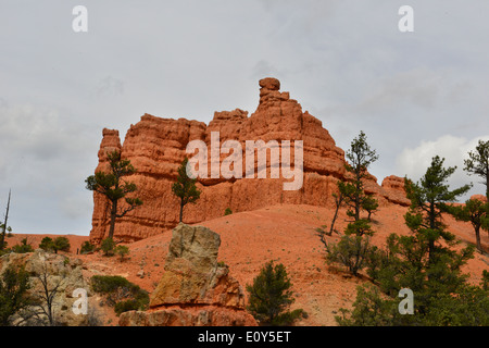 Red Canyon, Utah. Banque D'Images