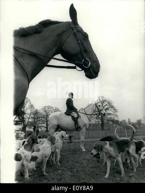 01 février 1969 - 1er février 1969, l'Enfield Chace Foxhounds se déplacer hors de l'école Broxbourne Herts. L'Enfield Chace Foxhounds rencontrez ce matin à Broxbourne School for Girls, à Broxbourne, Herts. La jeune fille donnant les élèves une occasion extraordinaire de voir les couleurs de la chasse. Photo : La vue pittoresque montrant certains des chiens et un chasseur avant le déménagement au large de ce matin. Banque D'Images