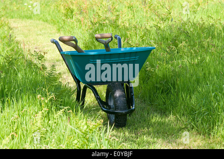 Brouette de jardin bleu en herbe verte longue Banque D'Images