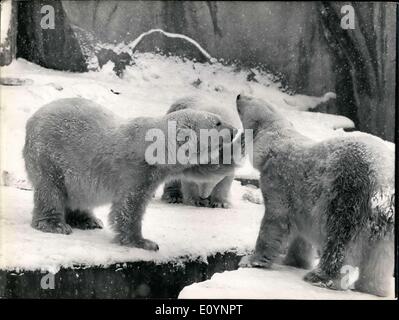 Le 31 décembre 1970 - L'ours blanc dans la neige au Zoo de Vincennes Banque D'Images