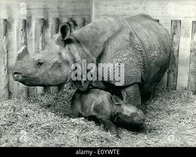 08 août 1971 - Heureux événement dans l'enceinte de rhino dans le zoo de Bâle. : Mère Moola, une dame vivant dans un quartier spécial de rhinocéros dans le zoo de Bâle, est fier de présenter sa progéniture une fille rhino né à 22.18 heures mercredi dernier. Mère Molla est né à Bâle en 1958 (trop, pour être précis). Le bébé rhino n'a pas encore de nom. La onzième ses rhinocéros bébé né à Bâle Zoo. Banque D'Images