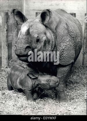 13 août 1971 - Heureux événement dans l'enceinte de rhino dans le Zoo Baslo : Mère Moola, une dame vivant dans des quators de rhino dans le zoo de Bâle, est fier de présenter sa progéniture - une fille rhino né à 22.18 heures lats mercredi. Mère Molla est né à Bâle en 1958 (trop, pour être précis). Le bébé n'a pas de rhino yot a obtenu un nom. La onzième ses rhinocéros bébé né à Baslo Zoo. Banque D'Images