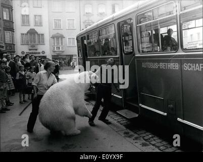 Septembre 09, 1971 - Un ours polaire dans l'autobus en Schaffhausen. : Schaffhouse, Suisse : un ours polaire blanc a pris un autobus dans le Banque D'Images