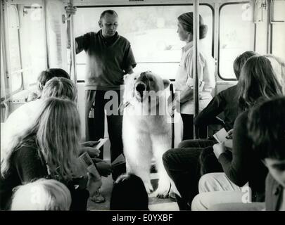 Septembre 09, 1971 - Un ours polaire dans l'autobus en Schaffhausen : Schaffhouse, Suisse : 4 ours blanc a pris un autobus dans la ville de Schaffhausen Rhino sans Suscting autant qu'un œil surpris des autres passagers. Ce côté de l'ours dans le cadre d'une campagne de promotion d'un cirque qui a été couronné de succès. L'image montre l'ours de monter dans le chariot et assis à l'intérieur. Banque D'Images