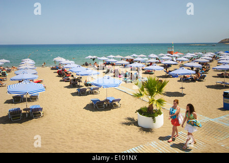 Blanc et bleu parasols et chaises en rangées, l'île de Rhodes, Faliraki, Grèce Banque D'Images