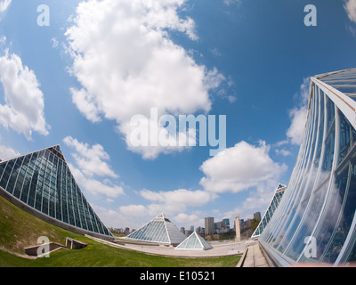 Un fisheye vue sur les pyramides de verre de la Muttart Conservatory et l'horizon d'Edmonton. Edmonton, Alberta, Canada. Banque D'Images