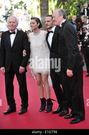 Cannes, France. 20 mai, 2014. Directeur Belge Jean-Pierre Dardenne, l'actrice française Marion Cotillard, Fabrizio Rongione acteur belge et belge administrateur Luc Dardenne (de G à D) L'arrivée de l'examen préalable de 'Deux Jours, Une Nuit" ("deux jours, une nuit") pendant la 67e Cannes Film Festival, à Cannes, France, le 20 mai 2014. Le film est présenté en compétition officielle du festival qui se déroule du 14 au 25 mai. Credit : Ye Pingfan/Xinhua/Alamy Live News Banque D'Images