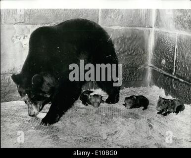 Mar. 03, 1972 - Les trois petits ours : il n'y a mère et bébé ours, ours au zoo de Berne, Suisse. Mère, Ursula, est vu avec ses triolets qui y sont nés récemment. Banque D'Images