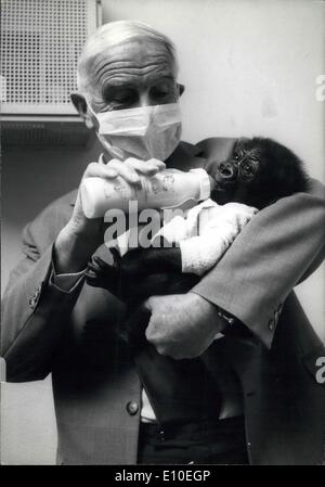 12 mai 1972 - Directeur du Zoo de renommée mondiale agit comme le ''Foster mère'' de désavouée petit singe. Le professeur Bernhard Grzimek, le directeur de la célèbre zoo de Francfort/Main, a ''l'foster mère'' de petit singe girl ''Uzima''. Le bébé gorille, né dans le zoo de Bâle, il a été désavoué par la mère. La seule façon de sauver la vie du bébé gorille, était d'apporter à l'animal bien connu à la pépinière zoo de Francfort, où le directeur de soins infirmiers n'Grzimek désavoué le petit singe lui-même. Banque D'Images