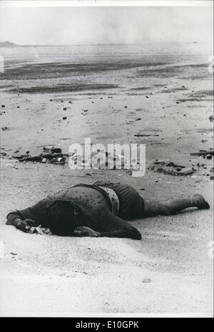 11 novembre 1972 - nager à la liberté se termine dans la mort : le corps d'un homme chinois recouvert de mouches, se révèle par la marée descendante sur une plage des nouveaux territoires de Hong Kong entre Babylon Circus suite à sa tentative de fuir de la Chine continentale. Il a probablement été épuisé nage à contre courants indésirables dans l'eau froide, et s'est noyé.Il est l'un des milliers de personnes qui ont tenté de parvenir à Hong Kong de Chine et beaucoup ont perdu la vie de façon similaire. Banque D'Images