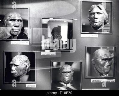 01 novembre 1973 - La galerie de nos ancesters. Une exposition ''l'origine de l'homme'' a été ouverte aujourd'hui. au musée de Genève. photo présente sur le dessus du célèbre l'homme de Neandertal (à gauche) et le cro-magnon, tant le premier homo erectus (à gauche) et d'un Australopithecus. Au centre l'image réfléchie de notre photographe , lui-même un homo sapiens du 20e siècle. Banque D'Images