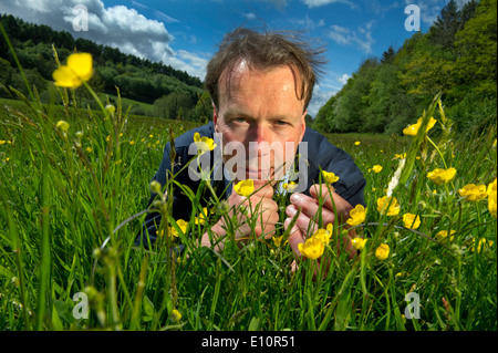 Farmer John Lewis-stempel a écrit un livre sur les prés et est vu dans un champ entouré d'herefordshire renoncules.un uk Banque D'Images