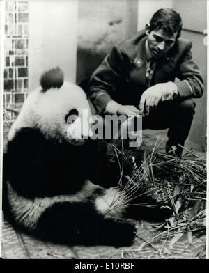 14 décembre 1973 - pandas de Chine arrivent en France : deux pandas géants, Li-Li, un mâle et une femelle, Yen-Yen, qui ont été offerts au président Pompidou au cours de sa visite en Chine, sont maintenant présentées au zoo de Vincennes. Photo montre yen yen, la femelle panda géant de Chine Photo de zoo de Vincennes. Banque D'Images