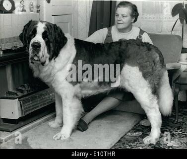 10 févr. 02, 1974 - UN St Bernard est champion suprême à Cruft's : un chien Saint Bernard a été choisi à Cruft's champion suprême dog show à l'Olympia, le samedi, pour la première fois dans l'histoire de 78 ans. Le gagnant, Burtons bois Bossy Boots, l'âge 2,5, est administré par Mlle Marjorie de yardley Gobion, Hindes, Northants, infirmière à la retraite qui élève les saint-bernard comme un passe-temps. Hindes Miss a dit : ''je le nomme Bossy Boots parce qu'il était le grand patron de la litière et a toujours des ordres l'autre petits Banque D'Images