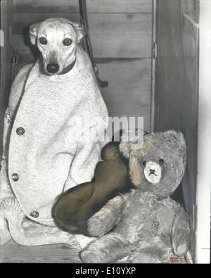 19 octobre 1974 - Mesdames Kennel Association Dog Show : Photo montre ''Casalome, Sterne Gay'' garde au chaud avec un cardigan en laine, et réconfortés par Peter, le beery tandis que son propriétaire tandis que son propriétaire est absent au café - au Ladies Kennel Association montrent aux Jeux Olympiques d'aujourd'hui. Banque D'Images