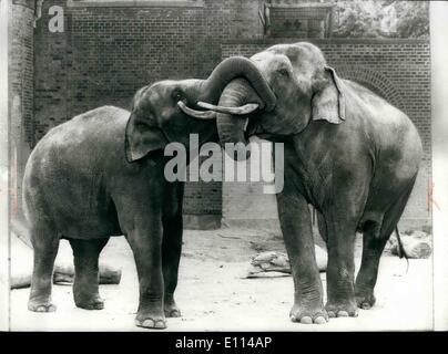 08 août, 1975 - L'amour à première vue : Thaia les 12 ans de l'éléphant du Zoo de Zurich - et donné en cadeau à la Zoo de Copenhague est vite fait des amis avec 15 ans homme Elephant Chengmai qui ont pris un grand intérêt pour elle. Il n'a pas fallu longtemps avant qu'ils s'embrassaient et ubing trunks. Ainsi dans 22 mois que le temps d'une grossesse d'éléphant, ils espèrent voir la naissance d'un bébé éléphant. Photo montre Thaia, amant donne gauche Chengmai un baiser avec son coffre. Banque D'Images