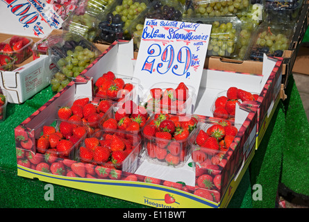 Gros plan des punnet de fruits de fraises importés pour Vente sur le marché stalle York North Yorkshire Angleterre Royaume-Uni Royaume GB Grande-Bretagne Banque D'Images