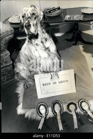 02 février 1977 - Un Setter Anglais est cette année, la Cour suprême Champion ; cette année, le champion suprême à la Crufts Dog Show à Olympie est et Setter anglais appelé Bournehouse maître à danser. Un gris, blanc et beige de 3 ans 1/2 habituellement connue sous le nom de Terry. Il a été illustré par un matériel Stafforshire fabrication, M. Gordon Williams. C'était le premier en 13 ans qu'un setter anglais a été Best in show. Photo montre le champion suprême Bournehouse maître à danser après son triomphe à Crufts Dog Show samedi dernier. Banque D'Images