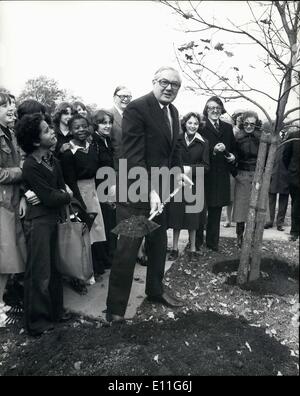 11 novembre 1977 - Le Premier ministre plante un arbre : le premier ministre M. James Callaghan planté un chêne sur le site d'un ancien chêne dans Hyde Park aujourd'hui au nom de l'arbre de plantation Conseils travaux. L'ancienne  arbre était connu sous le nom de l'arbre et a été planté au début du 19e siècle, mais a été vandalisée. La photo montre le premier ministre Jim vu Gallagham la plantation de l'arbre de chêne dans Hyde Park aujourd'hui. Banque D'Images