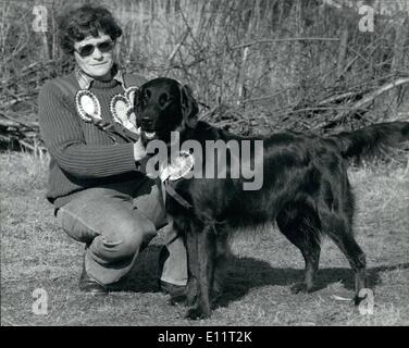 02 février 1980 - Retriever ID Crufts Champion : un enfant de deux ans noir, flat-coated retriever appelé Brett a remporté le championnat suprême à Crufts dog show le samedi soir à Earls Court, à Londres. Le chien dont la généalogie est nom Blackoap Shargleam Champion, est administré par Mlle Patricia Président, un éleveur de Coleorton, Leicesterashire. Photo montre champion suprême Shargleam Blackcap avec son propriétaire Mlle Patricia Chapman, dans sa maison au village de Leicestershire Coleorton hier. Banque D'Images