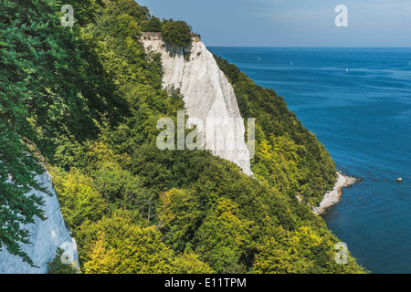 118 mètres de haut des falaises de craie Koenigsstuhl (Président), du Roi de l'île Rügen, Mecklembourg-Poméranie-Occidentale, Allemagne, Europe Banque D'Images