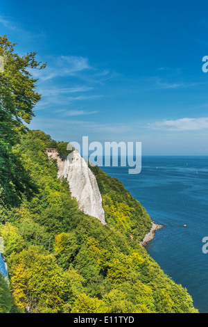 118 mètres de haut des falaises de craie Koenigsstuhl (Président), du Roi de l'île Rügen, Mecklembourg-Poméranie-Occidentale, Allemagne, Europe Banque D'Images