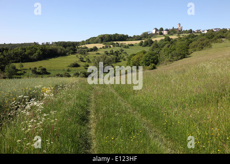 Paysage avec ancien château Greifenstein, sur la colline. Hesse, Allemagne Banque D'Images