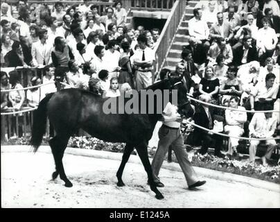 08 août 1984 - un record a été établi pour ce soir lors de ventes de yearlings M. Mohamed Al Amktoum ont acheté Miss Shirley pour 7 600 000 francs. Il est le ministre de la Défense nationale à Qatar et est actuellement le plus gros acheteur de chevaux dans le monde. Miss Shirley est considérée être présenté Banque D'Images