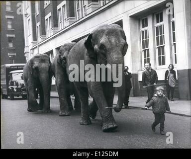 Le 12 décembre 1996 - L'éléphant de cirque pour faire de l'exercice - trois des éléphants qui apparaîtra dans Bertan Mills Circus ouvre le vendredi. Le 23 décembre, trois ans, fils de Henry Frochte Frochte Formateur Wilhelm. Photo : Keystone montre- vieux de trois ans, vu Frochte Henry menant de la LEP, suivie de Saida et Babati, les trois éléphants pendant leurs exercices de Blythe Lire, Kensington Banque D'Images