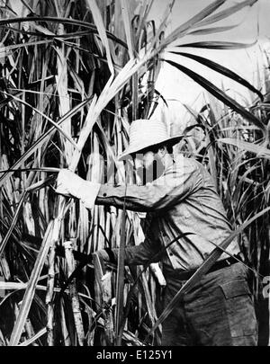 03 mai 2006, à La Havane, Cuba ; (Photo : Lieu et date exacte inconnue) FIDEL ALEJANDRO CASTRO RUIZ (né le 13 août 1926) a été le chef de Cuba depuis 1959, lorsque le leader, 26 juillet le mouvement, il a renversé le régime de Fulgencio Batista. Dans les années qui ont suivi, il a supervisé la transformation de Cuba dans le premier État communiste du monde occidental.. (Crédit Image : KEYSTONE/ZUMAPRESS.com) Photos USA Banque D'Images