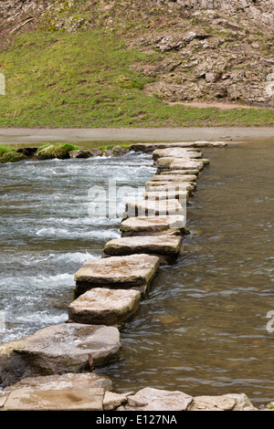 Stepping Stones sur la rivière Dove, Dovedale, Peak District, Derbyshire, Angleterre Banque D'Images