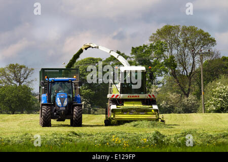 Couper l'ensilage d'herbe à Longridge, Preston, Royaume-Uni, 21 mai 2014. Météo Agricole. Prévisions de fortes pluies, les agriculteurs étant occupés à récolter la première coupe de plantes et de plantes vertes à la fin du mois de mai. Une coupe qui est le plus important, car la croissance en ce moment de l'année est vigoureuse avec l'herbe est riche en énergie comme elle produit la feuille plutôt que d'aller à la graine. L'ensilage d'herbe est habituellement produit par les agriculteurs de stock deux ou trois fois par an, les cultures d'ensilage étant fertilisées pour augmenter la production comme une culture arable conventionnelle. Banque D'Images