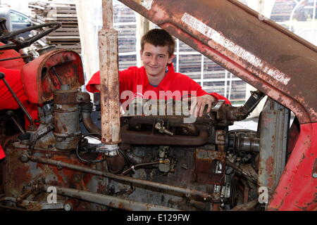 21 mai 2014 Devon UK. Devon County Show Preview Presse jour stagiaire à Bicton College agricole tracteur vintage reconstruit 'Gretel' une essence 1962 Ferguson 35 d'être tiré au sort pour le financement de la formation agricole en Afrique par bateau du lycée Bicton charité (outre-mer) Fiducie agricole Bicton Banque D'Images