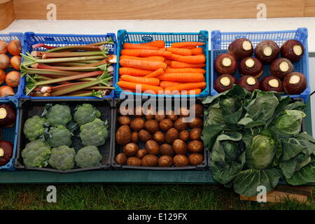 Exeter, Devon, UK. 21 mai, 2014. Légumes sur Devon County Afficher Afficher Appuyez sur Jour d'aperçu Banque D'Images