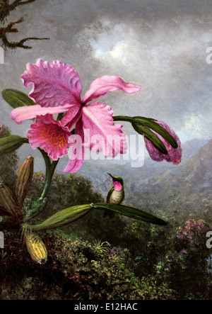 Orchid et Hummingbird près d'une cascade de montagne (détail) 1902 Eugene Fichel 1819-1904 American United States of America Banque D'Images