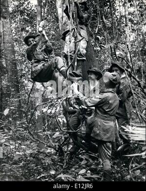 24 février 2012 - Tree climbing - un peu de plaisir dans ce cas. mais il pourrait être un must dans la vraie chose. Banque D'Images