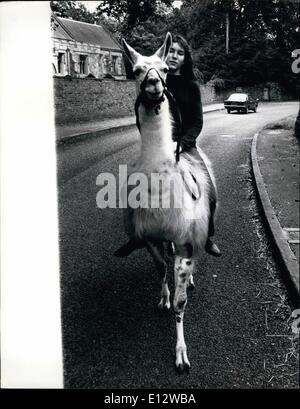 Le 26 février 2012 - Julie Le Village - Par lama. Trottine sur la voies de Malton, Yorkshire sur sa monture, 15 ans, Julie Cook entraîne généralement tout à fait incorporer - car elle est montée, pas sur un cheval, mais sur un lama ! Le père de Julie a acheté la liberté, le lama pour &pound;150 à partir de la proximité de Flamingo Park Zoo comme animal de compagnie - et lui a promis à Julie de elle pourrait se briser en lui. Elle a maintenant été équitation, ou essayant de le monter depuis un an et a au moins réussi à lui enseigner à être obéissants - bien qu'il n'ont l'esprit de son ex, et aime faire son propre était occasionnellement Banque D'Images