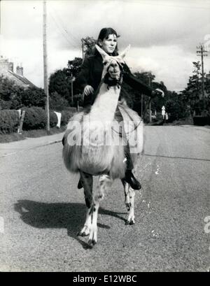 Le 26 février 2012 - Julie Le Village - Par lama. Trottine sur la voies de Malton, Yorkshire sur sa monture, 15 ans, Julie Cook entraîne généralement tout à fait incorporer - car elle est montée, pas sur un cheval, mais sur un lama ! Le père de Julie a acheté la liberté, le lama pour &pound;150 à partir de la proximité de Flamingo Park Zoo comme animal de compagnie - et lui a promis à Julie de elle pourrait se briser en lui. Elle a maintenant été équitation, ou essayant de le monter depuis un an et a au moins réussi à lui enseigner à être obéissants - bien qu'il n'ont l'esprit de son ex, et aime faire son propre était occasionnellement Banque D'Images