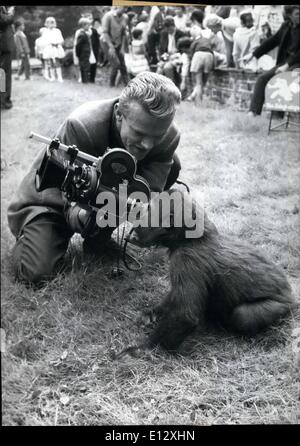 25 février 2012 - Pas très timide. étaient le singe-enfants du zoo de Francfort sur le jour de la porte ouverte . Ils aimaient à être des modèles pour les enfants qui ont participé au concours de prendre des photos des animaux du zoo. Un bébé gorille très drôle même risqua un bref aperçu à travers la caméra d'un journaliste de télévision. Photos Keystone, 19-7-62 Banque D'Images