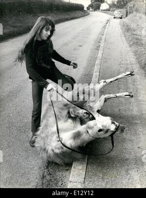 Le 26 février 2012 - Julie le village - par Llama. : trottine sur les voies de Melton, Yorkshire sur sa monture, 15 ans Banque D'Images