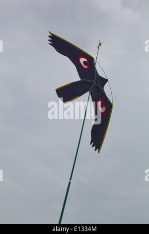 Cerf-volant d'effarouchement des oiseaux, avec beaucoup d'accent sur les yeux, utilisé pour agir comme un dispositif de récolte d'effarouchement sur les pois. Ingham. Le Norfolk. Banque D'Images